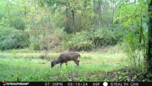 trail camera[mp:04][tp:069f][imei:861412043046494]