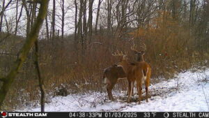 trail camera[mp:01][tp:033f][imei:864049051296822]