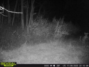 863900044811054 100 4 11082025221008 w1001896