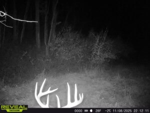 863900044811054 100 4 11082025221210 w1001899