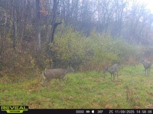 863900044811054 100 4 11092025145806 w1001947