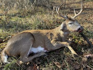 easton buck nov 2025
