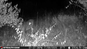trail camera[mp:05][tp:037f][imei:864049051550137]