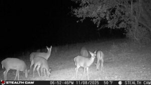 trail camera[mp:05][tp:050f][imei:864049051296822]