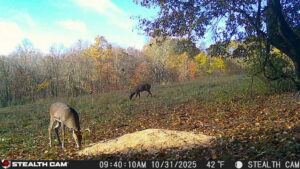 trail camera[mp:03][tp:042f][imei:864049051296822]