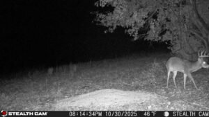 trail camera[mp:03][tp:046f][imei:864049051296822]