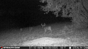 trail camera[mp:03][tp:050f][imei:864049051296822]