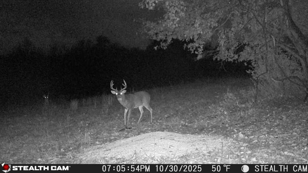 trail camera[mp:03][tp:050f][imei:864049051296822]