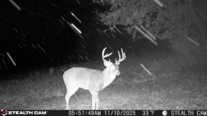 trail camera[mp:05][tp:033f][imei:864049051296822]