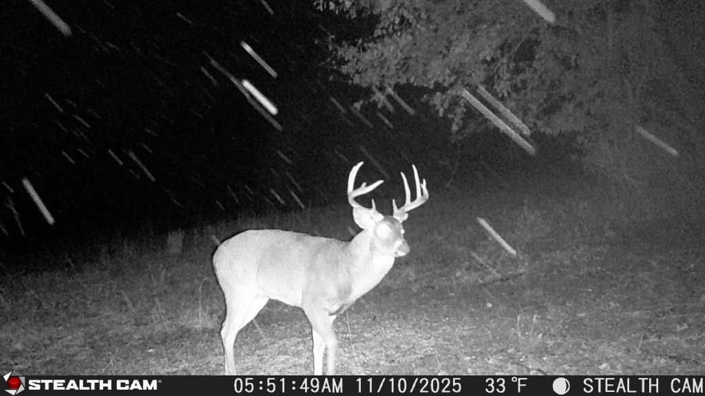 trail camera[mp:05][tp:033f][imei:864049051296822]