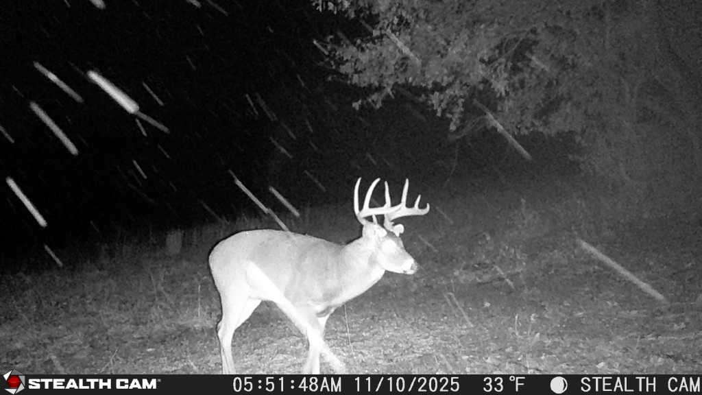 trail camera[mp:05][tp:033f][imei:864049051296822]