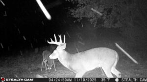 trail camera[mp:05][tp:035f][imei:864049051296822]