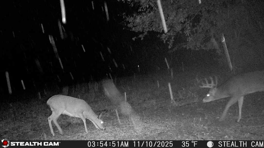 trail camera[mp:05][tp:033f][imei:864049051296822]