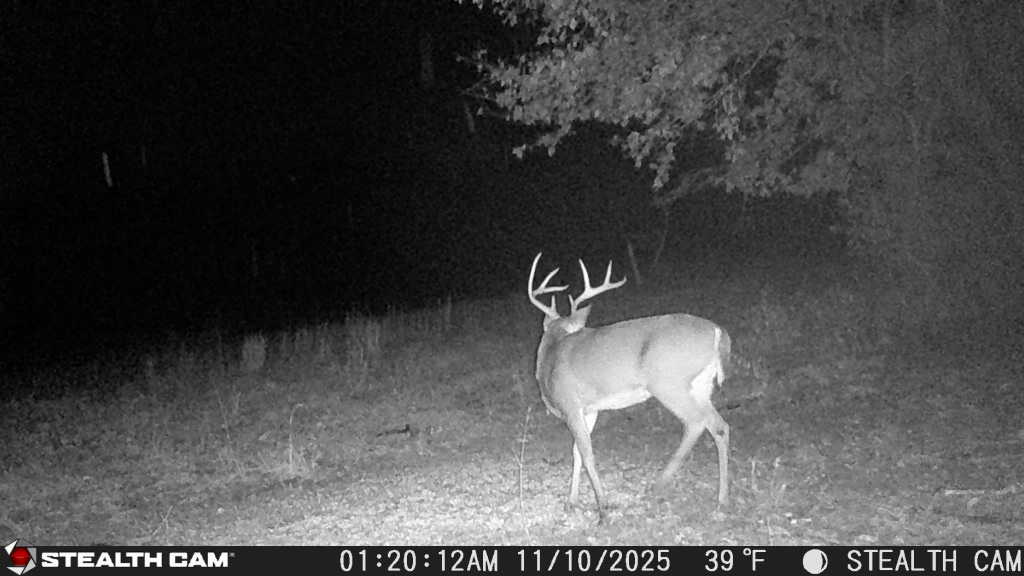 trail camera[mp:05][tp:039f][imei:864049051296822]