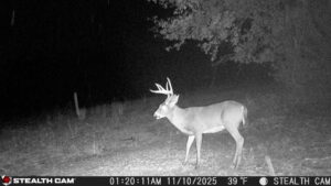 trail camera[mp:05][tp:039f][imei:864049051296822]