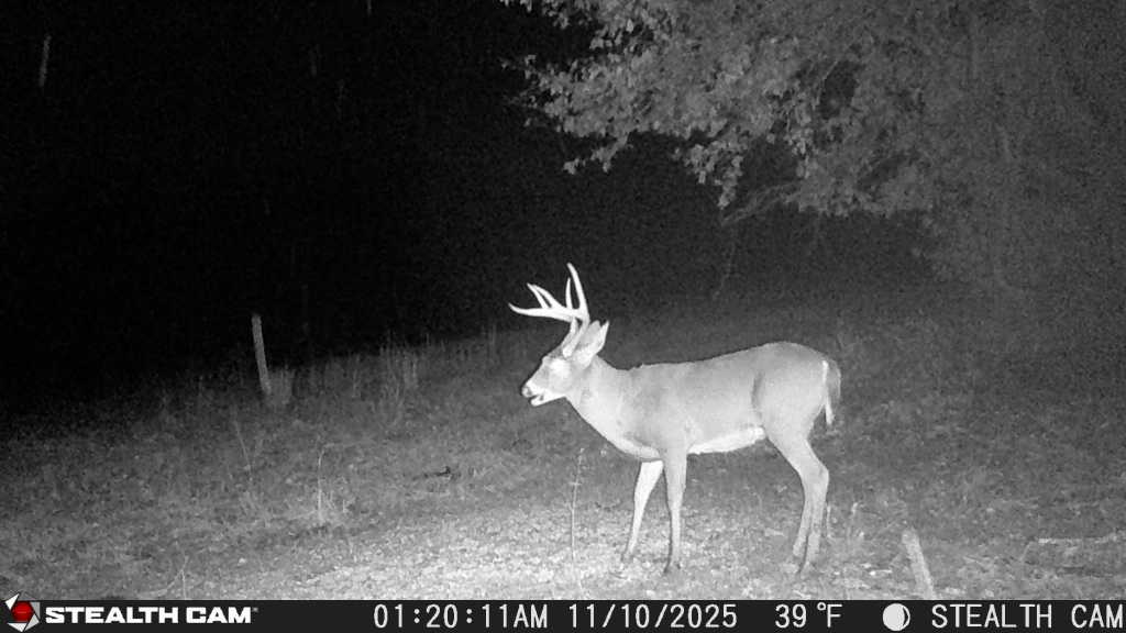 trail camera[mp:05][tp:039f][imei:864049051296822]