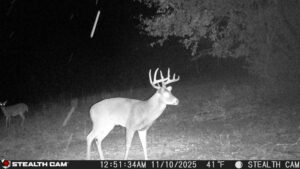 trail camera[mp:05][tp:041f][imei:864049051296822]