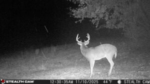 trail camera[mp:05][tp:044f][imei:864049051296822]
