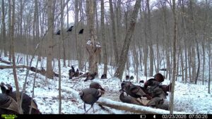 016579007609204 13 3 02232026075026 syfw03212