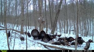 016579007609204 14 3 02232026072852 syfw03164