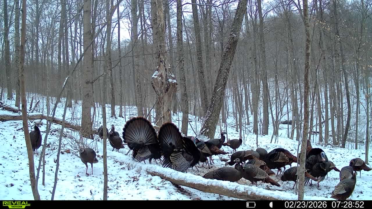 016579007609204 14 3 02232026072852 syfw03164