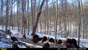 016579007609204 15 3 01202026145157 syfw01865