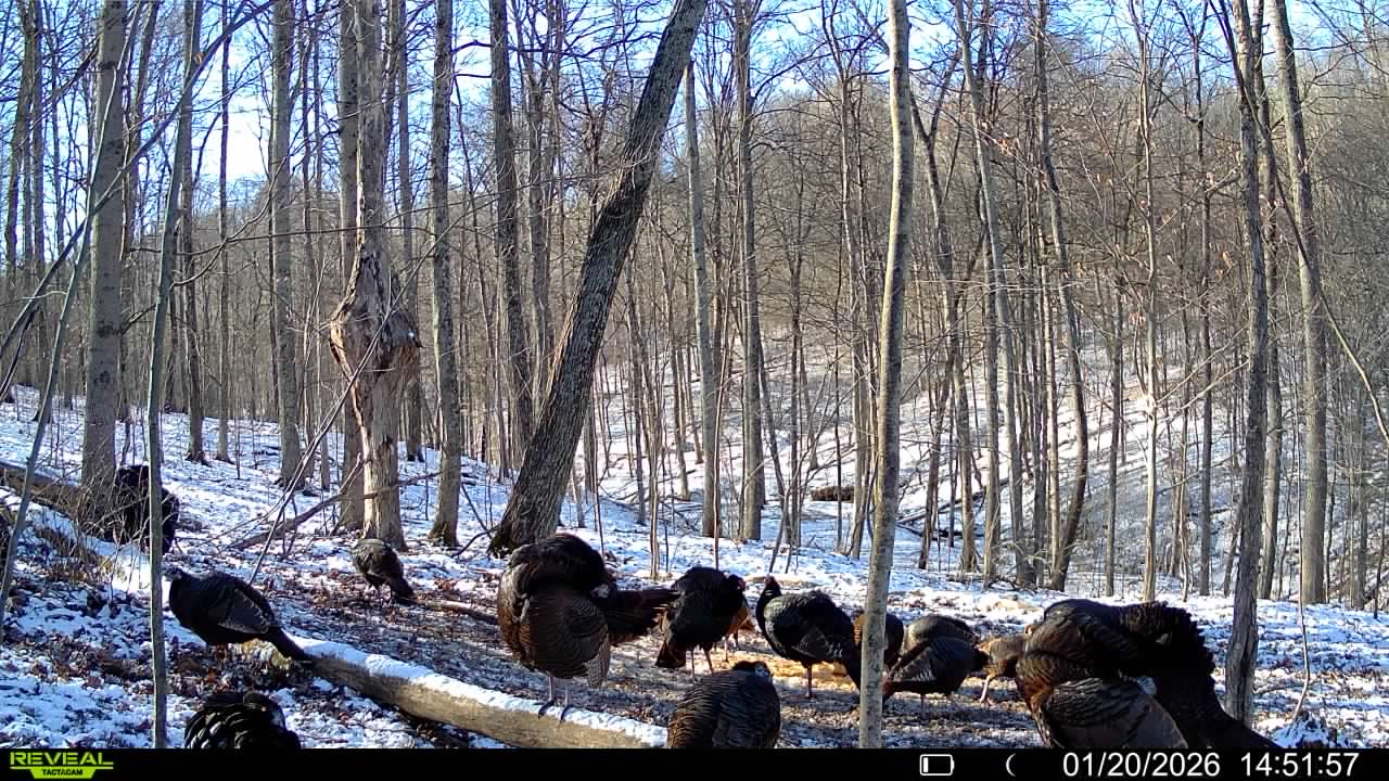 016579007609204 15 3 01202026145157 syfw01865