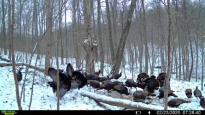 016579007609204 16 3 02232026072840 syfw03163