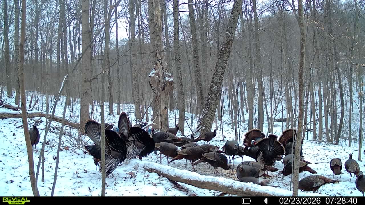 016579007609204 16 3 02232026072840 syfw03163