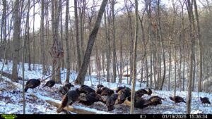 016579007609204 18 3 01192026153634 syfw01735