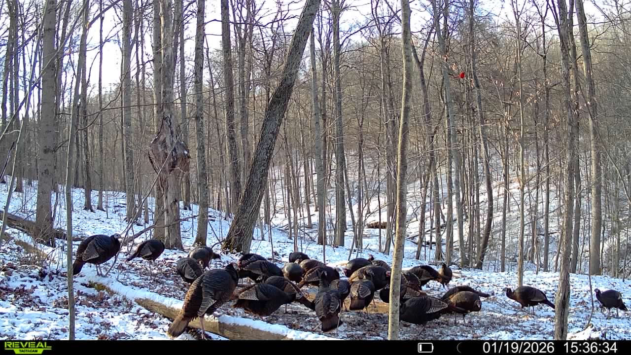 016579007609204 18 3 01192026153634 syfw01735