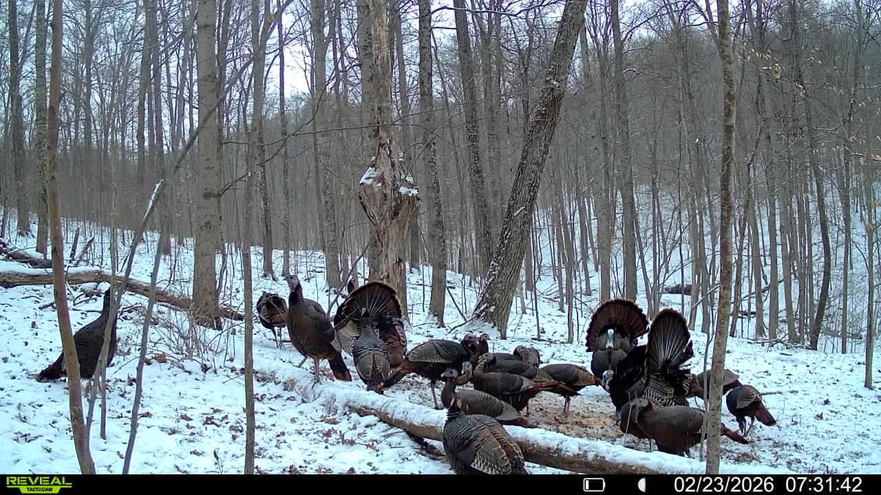 016579007609204 18 3 02232026073142 syfw03176