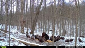 016579007609204 24 3 01192026135019 syfw01706