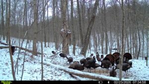 016579007609204 24 3 02232026073458 syfw03185