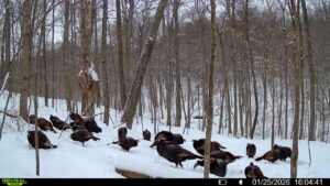 016579007609204 24 4 01252026160441 syfw02125