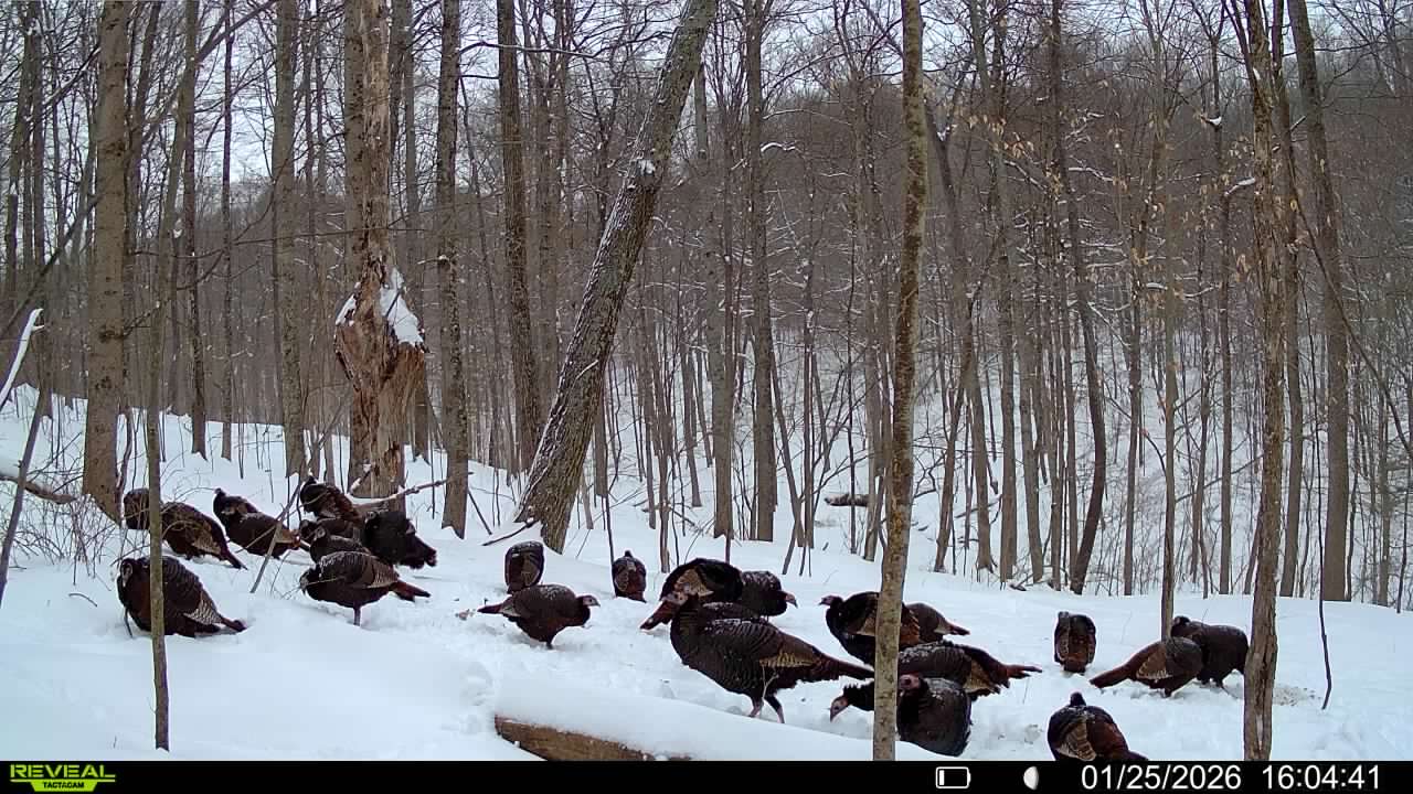 016579007609204 24 4 01252026160441 syfw02125