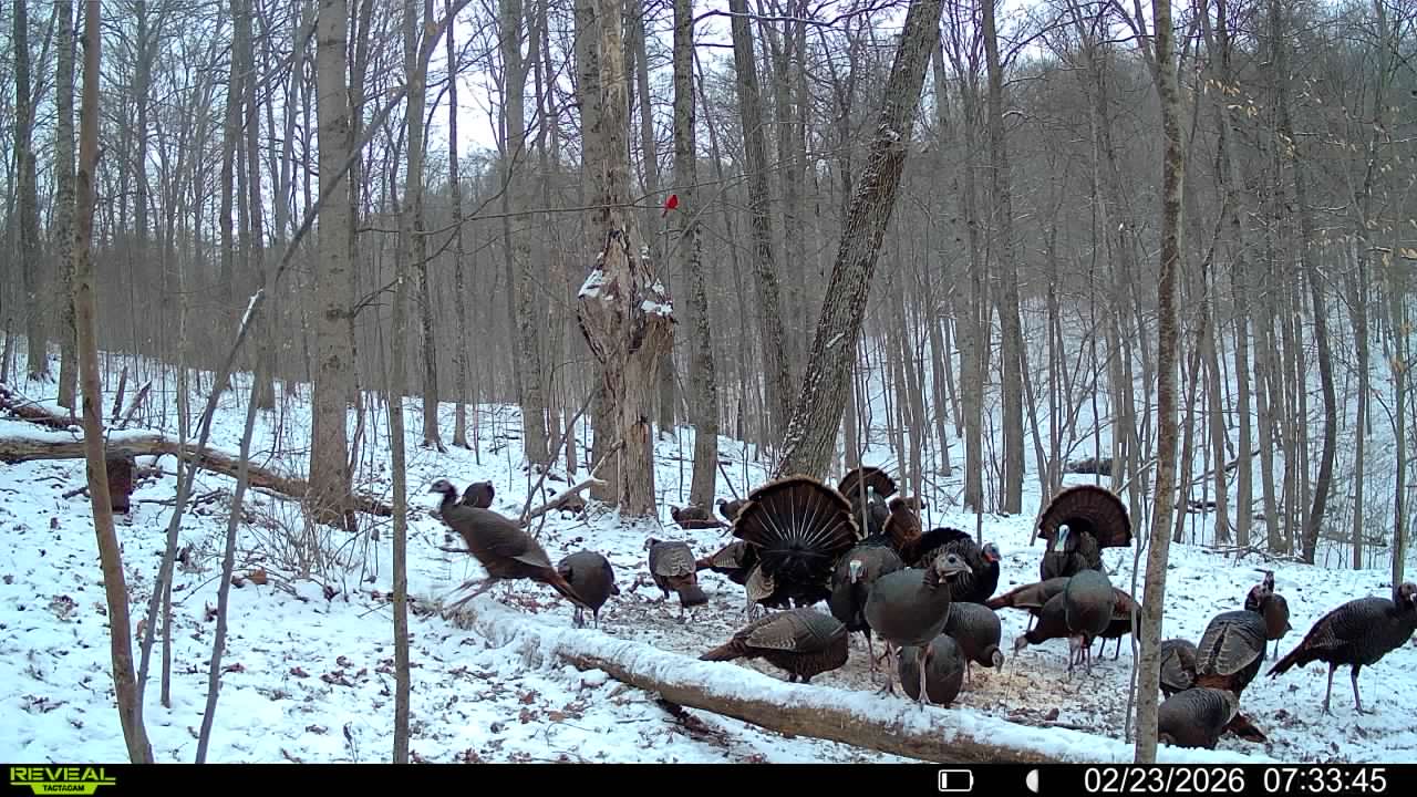 016579007609204 25 3 02232026073345 syfw03181