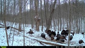 016579007609204 25 3 02232026073538 syfw03187