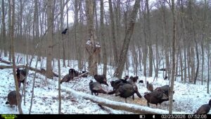 016579007609204 30 3 02232026075206 syfw03215