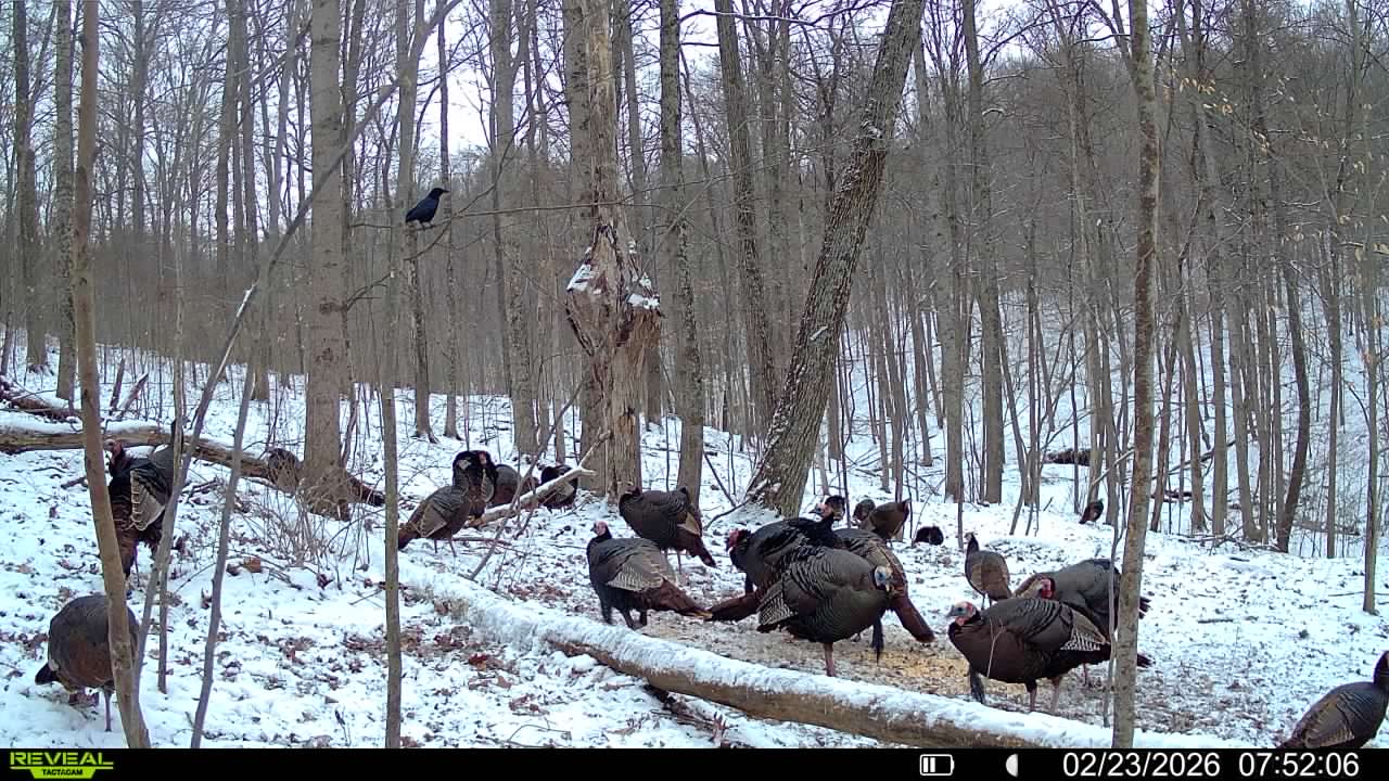 016579007609204 30 3 02232026075206 syfw03215