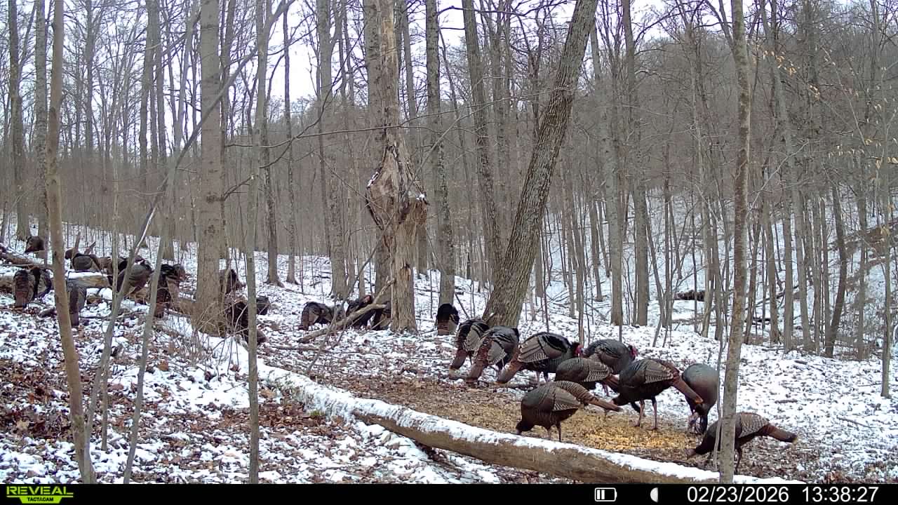 016579007609204 32 3 02232026133827 syfw03275