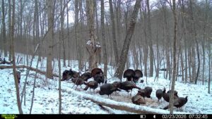 016579007609204 34 3 02232026073245 syfw03178