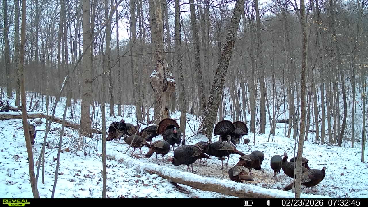 016579007609204 34 3 02232026073245 syfw03178