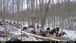 016579007609204 36 3 02232026133608 syfw03269