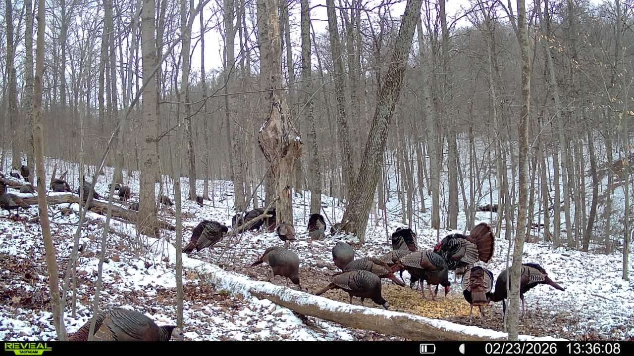 016579007609204 36 3 02232026133608 syfw03269