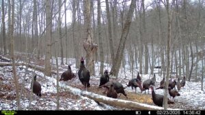 016579007609204 45 3 02232026143642 syfw03279