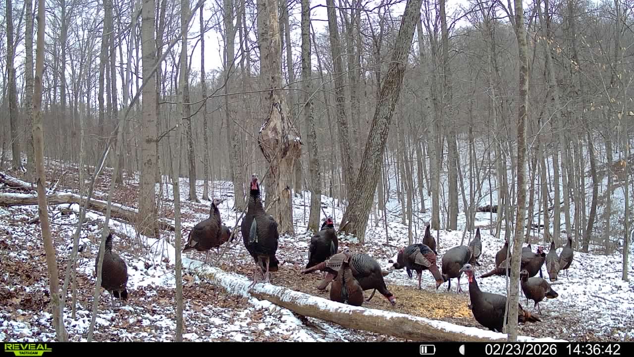 016579007609204 45 3 02232026143642 syfw03279