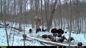 016579007609204 49 3 02232026074227 syfw03192