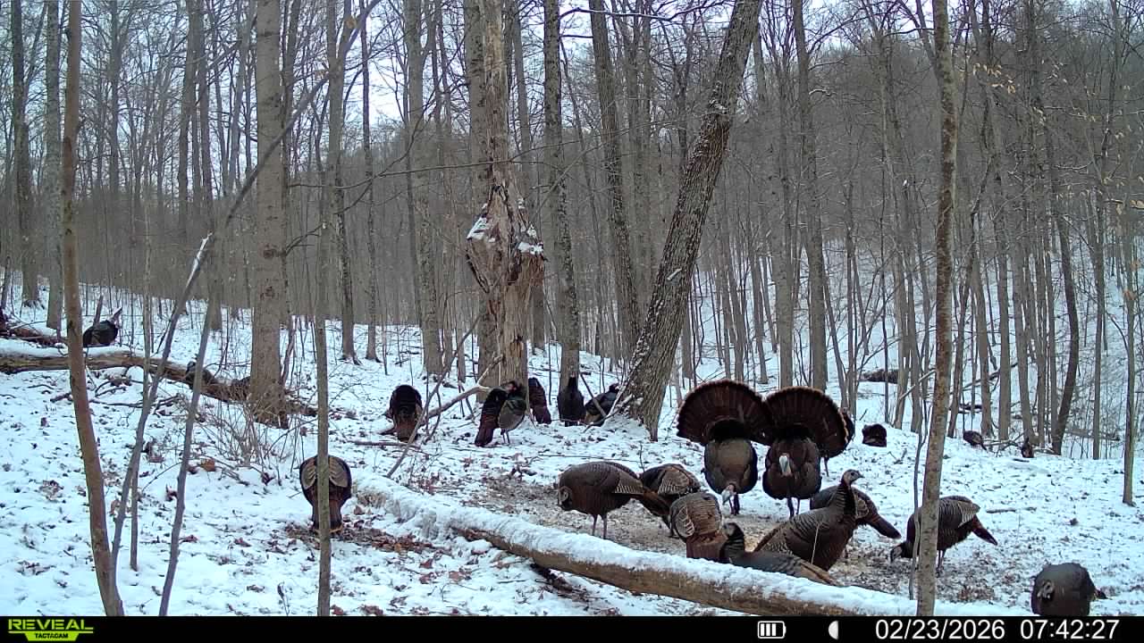 016579007609204 49 3 02232026074227 syfw03192