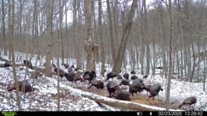 016579007609204 49 3 02232026132942 syfw03258